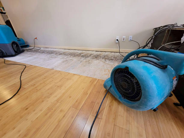 Professional Sewage Cleanup technician working in Ferrysburg, MI